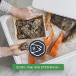 Kystfiskens logo